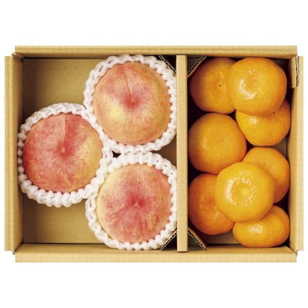 お中元のし付き ハウスみかん＆桃詰合せ ハウスみかん600g、桃700g（3個） 御中元 夏ギフト ギフト 贈答