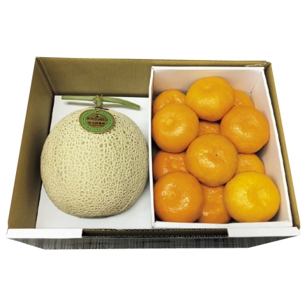 お中元のし付き メロン＆ハウスみかん マスクメロン1.2kg、ハウスみかん1.4kg（L:12個） 御中元 夏ギフト ギフト 贈答