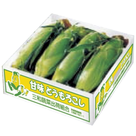 お中元のし付き 甘味とうもろこし 4kg（8～10本） 御中元 夏ギフト ギフト 贈答