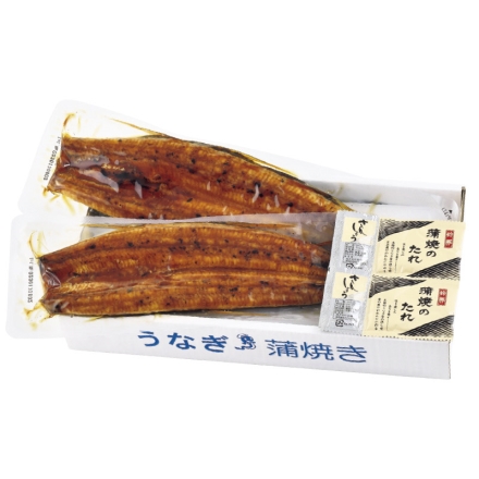 お中元のし付き 鹿児島県産 旨うなぎ蒲焼 2尾270ｇ 御中元 夏ギフト ギフト 贈答