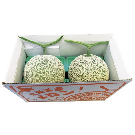北海道産 赤肉メロン 1.2kg×2