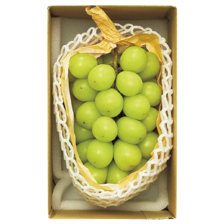 お中元のし付き シャインマスカット 500g（1房） 御中元 夏ギフト ギフト 贈答