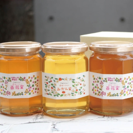 お中元のし付き 道後の杜 純粋はちみつセット 百花蜜300g×2、みかん蜜300g 御中元 夏ギフト ギフト 贈答