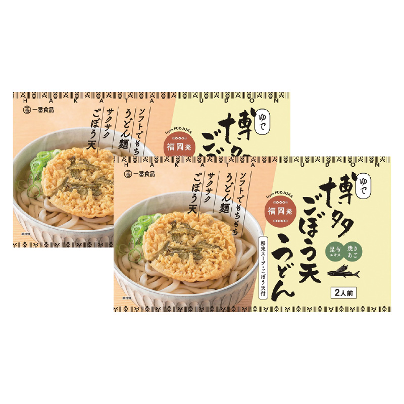 博多ごぼう天うどん 4食 送料込み