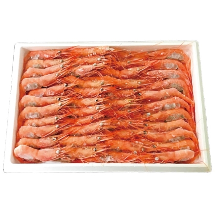 お歳暮のし付き 冷凍 お刺身用 甘えび 600g
