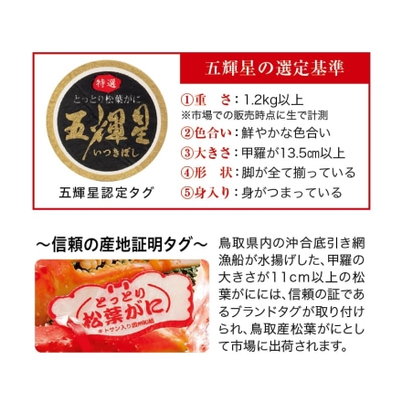 お歳暮のし付き 鳥取県産 朝茹で松葉がに「 五輝星 」 1kg（1杯）