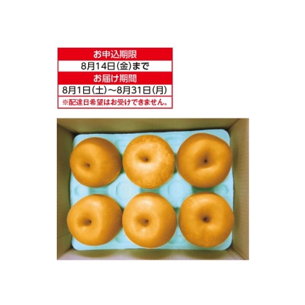 石川県産 幸水梨 2.5kg（6～8個）