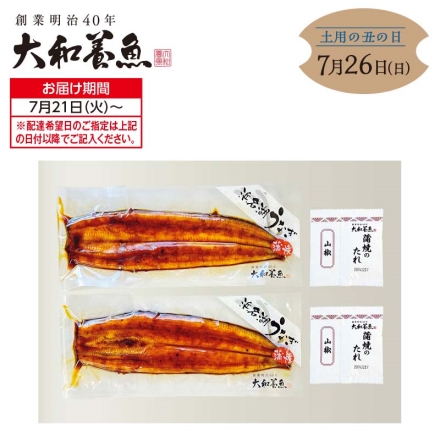 2026年新仔 浜名湖うなぎ蒲焼2本