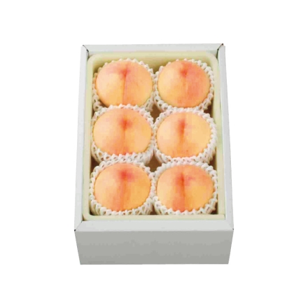 岡山白桃 1.4kg（5～7個）
