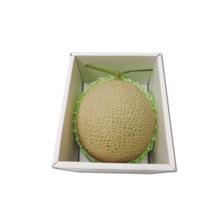 マスクメロン 1.5kg（1個）