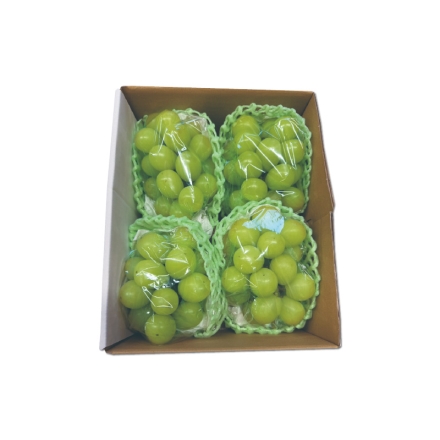 山形県産 シャインマスカット 1.2ｋｇ 1.2kg（3～4房）