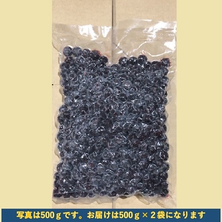 大分県産 冷凍 ブルーベリー 1kg 500g×2