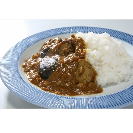 豊後きのこカレー 180g×10袋入り