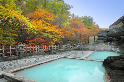 【福島】旅館玉子湯　2名様　平休日1泊2食付