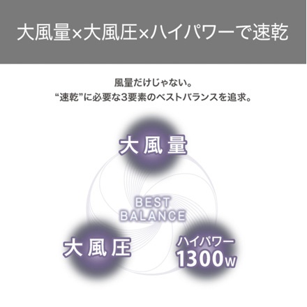TESCOM プロテクトイオンヘアドライヤー ホワイト TD570A
