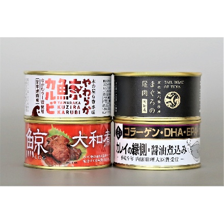 宮城 「木の屋石巻水産」 バラエティ缶詰4缶セット