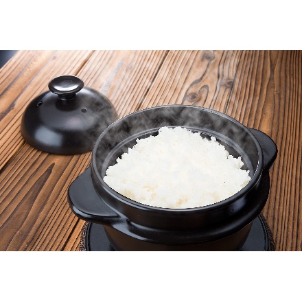 新潟県産 こしひかり 5kg×4 令和７年産