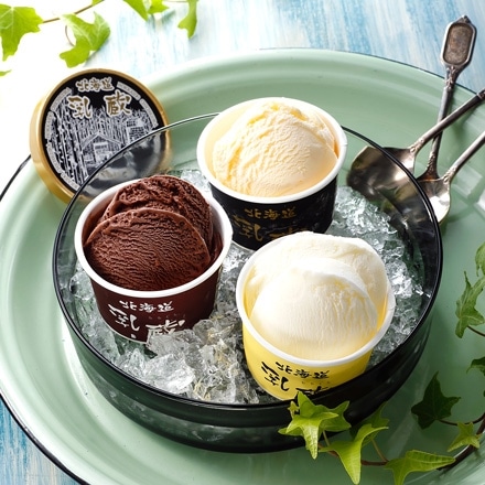 乳蔵 北海道アイスクリーム プレミアムセット 3種9個