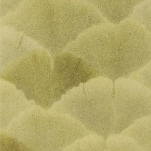 Enlight Hand Serum SUPREME TEA