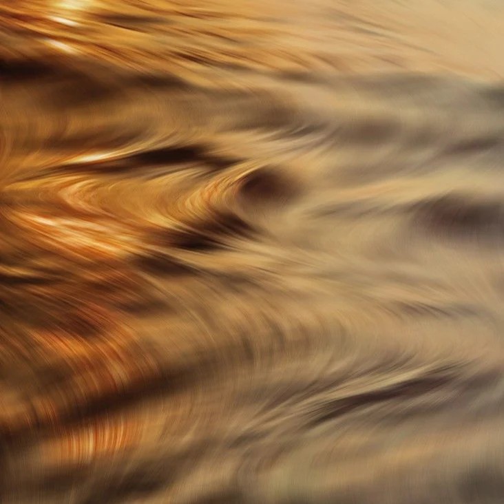 Moist Fragrance Hand & Body Soap ELEGANT TIME