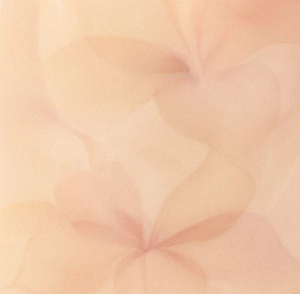 Moist Fragrance Hand & Body Soap SAKURA