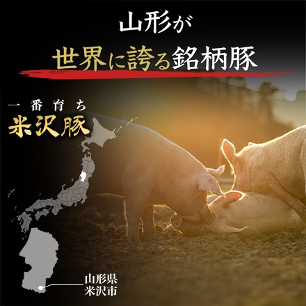 米沢豚一番育ち 厳選 部位 焼肉 食べ比べ セット 2.8kg 6～8人分