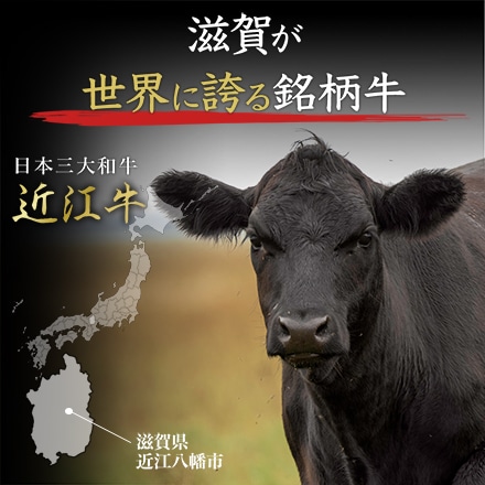 近江牛 贅沢食べ比べセットA すき焼き用 カルビ ロース モモ 600g 4～5人分