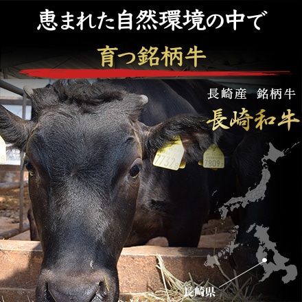 長崎和牛 A5 特製牛ハンバーグ 150g×5個