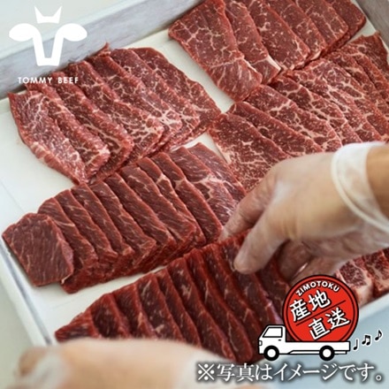 佐賀県産 和牛の焼肉 和牛 希少部位 焼肉 食べ比べセット 2～3人前 450g