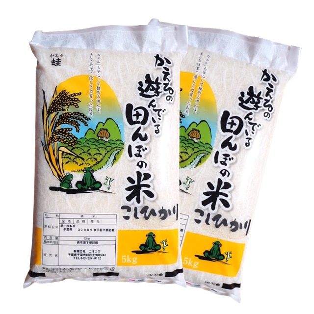 令和5年度産 千葉県産 コシヒカリ 10kg 無洗米