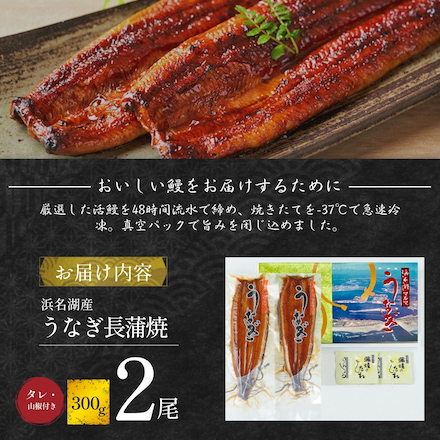 うなぎ 静岡 浜名湖産 伝統の長蒲焼「でしこ」2尾セット マルマ中塩商店 厳選