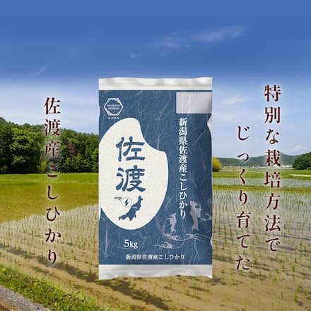 新潟県 佐渡産コシヒカリ 5kg 令和7年産 A 一等米 佐渡産 こしひかり 厳選 白米 産地直送 世界遺産の島 高級 お取り寄せ 5キロ