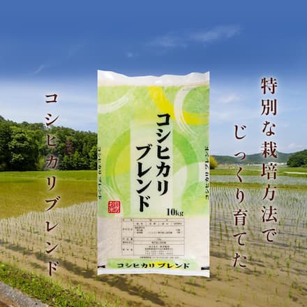 新潟産コシヒカリブレンド 10kg 令和7年産 厳選 新潟県産 白米 10キロ 産地直送 毎日食べたい飽きない味 お取り寄せ 送料無料