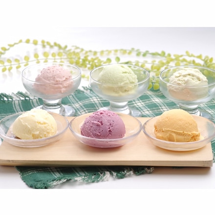 「乳蔵」 北海道アイスクリーム 6種 6個