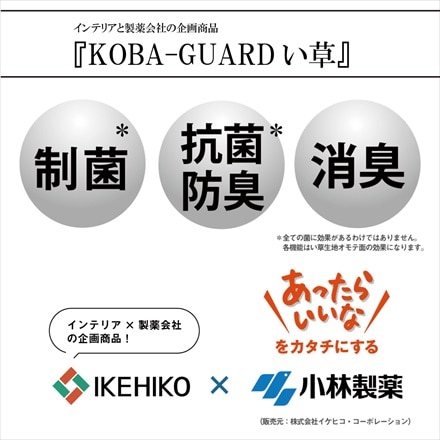 抗菌防臭・制菌加工 KOBA-GUARD い草ラグ クリア 190×300 ブルー