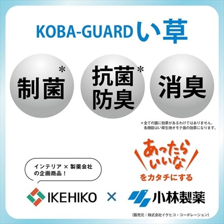 コンパクトに畳める い草マット 抗菌防臭 制菌加工 KOBA-GUARD ブルー