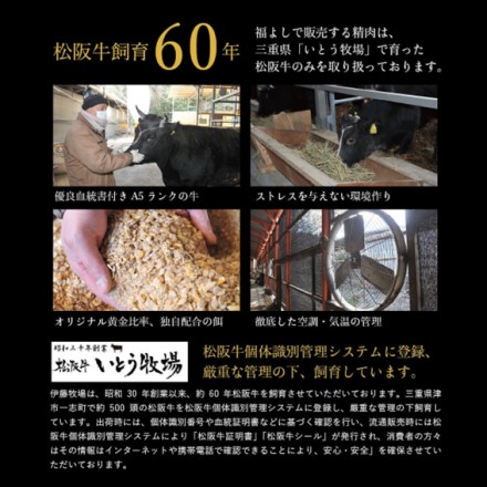 福よし 松阪牛とろけるハンバーグ 150gx5 ハンバーグソース200ml付
