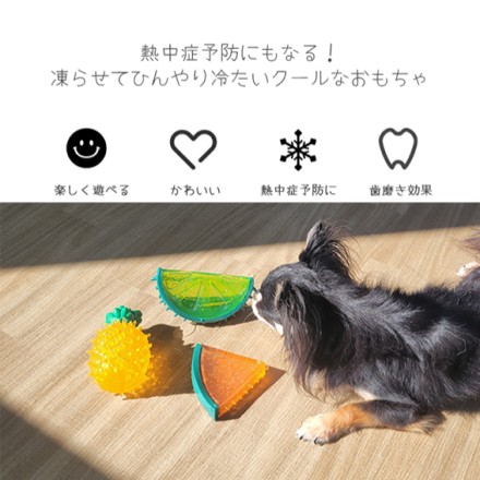 クーリングドッグトイ フルーツ パイナップル