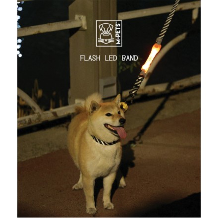 M-PETS FLASH LED BAND ORANGE