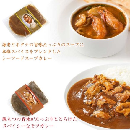 北陸の絶品 カレー 計４食 スパイシーモツカレー シーフードスープカレー 160g 各2個