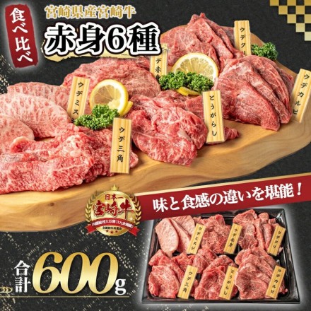 肉の野上 宮崎牛 6種盛り 600g ギフト箱
