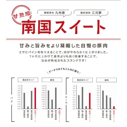 鹿児島県産 南国スイート ローストポーク 250g×2P