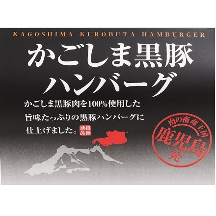 鹿児島黒豚 ハンバーグ 電子レンジ対応袋使用 100g×6個入り