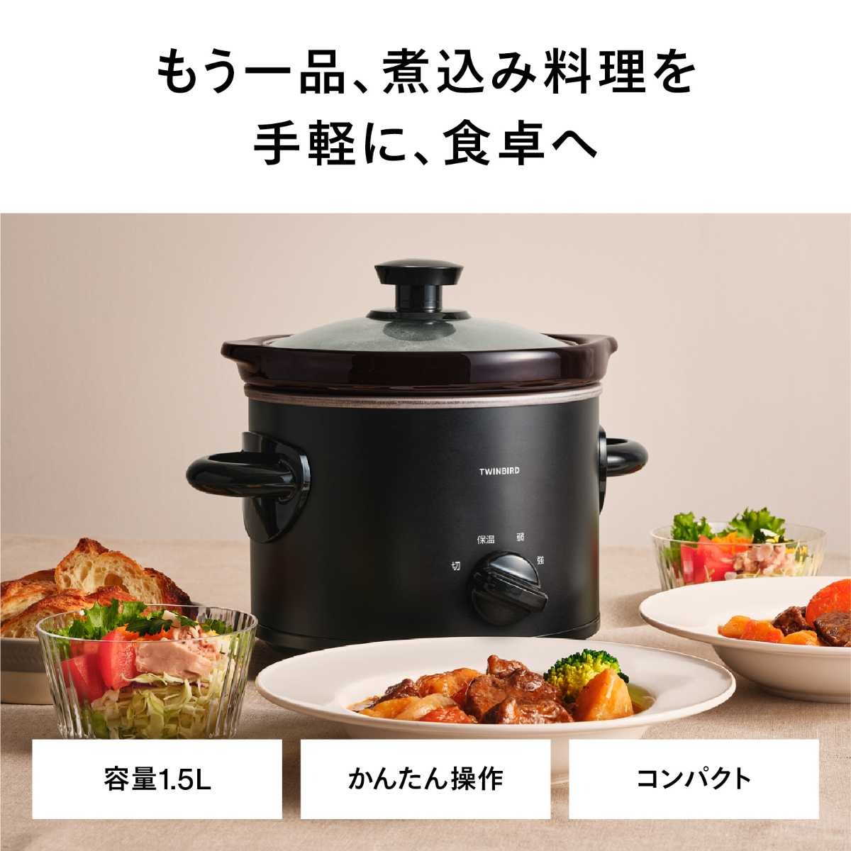 ツインバード スロークッカー 家庭用 ブラック EP-4714B