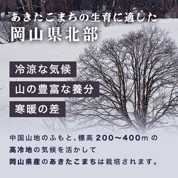 岡山県産 あきたこまち 白米 10kg 令和7年産