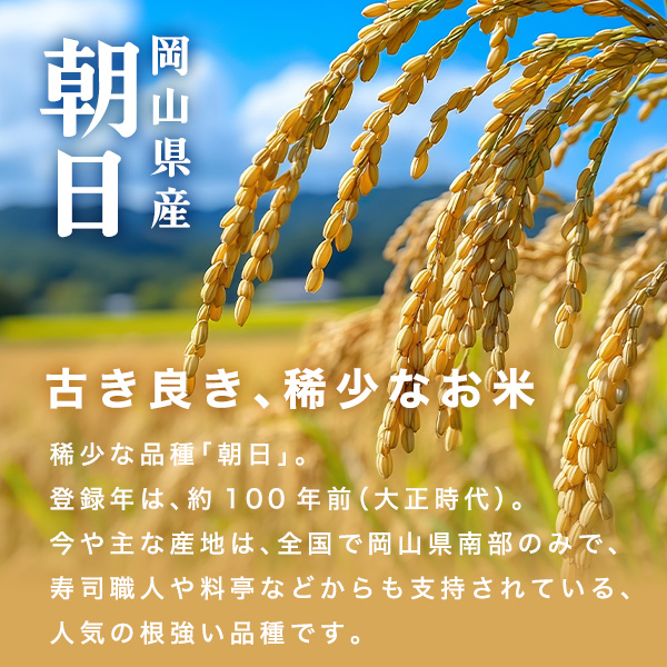 岡山県産 あさひ 白米 10kg 令和7年産