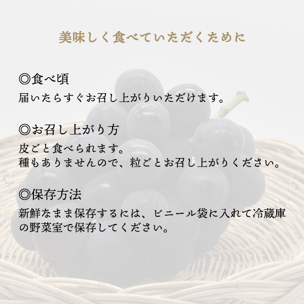 【9月上旬以降順次出荷】 岡山県産 ピオーネ 約600g 1房