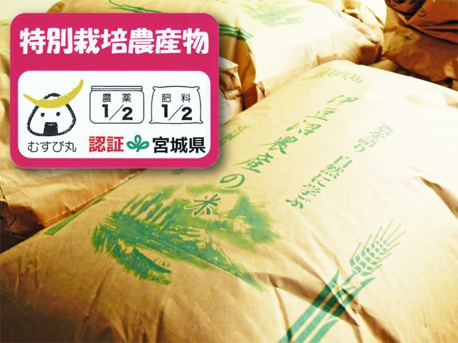 玄米 宮城登米産 ひとめぼれ 3kg （宮城県認証 農薬・化学肥料節減米） 令和3年産