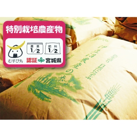 玄米 宮城登米産 ひとめぼれ 5kg （宮城県認証 農薬・化学肥料節減米） 令和3年産