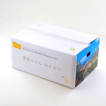 愛媛産 河内晩柑 秀品 3.5kg